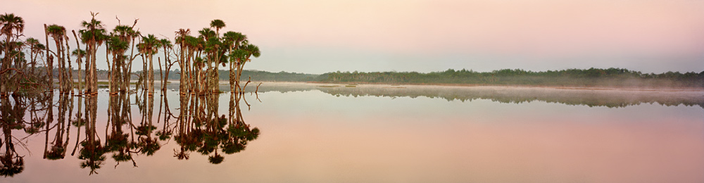 852 Wetlands Reflections by Steve Vaughn