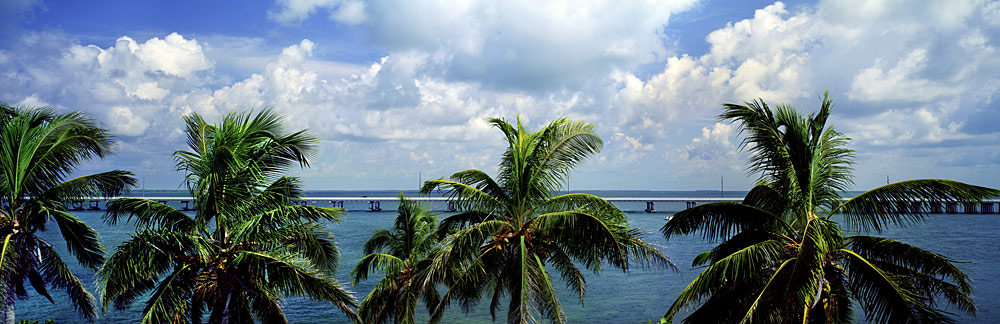 886 The Road to Key West by Steve Vaughn